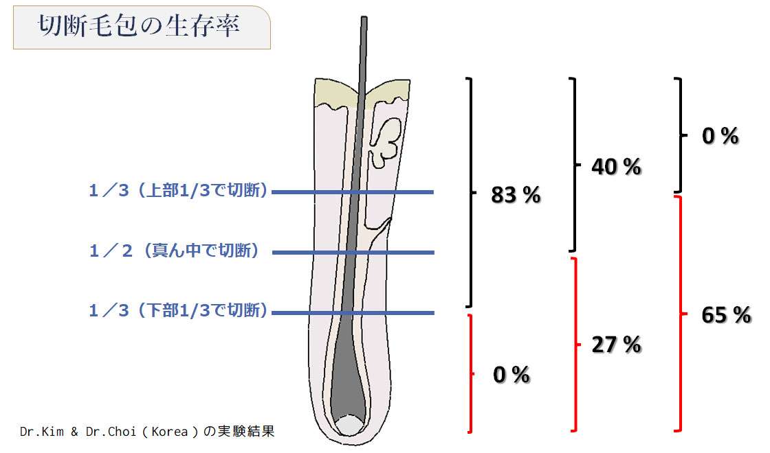 FUEの切断率の説明