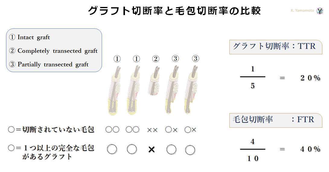 TTRとFTRの違い